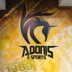 vẽ trang tường gaming ADONIS-a