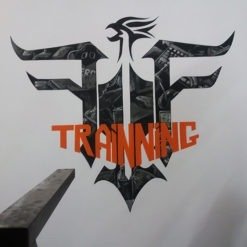 vẽ trang trí tường FFQ studio-b