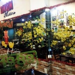 Vẽ Kính Tết.2019 Q