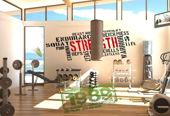 Vẽ Phòng Gym G