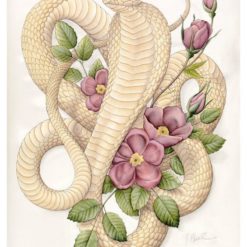 Tranh Tuổi Tỵ A