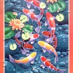 Vẽ Tranh Quần Ngư Hội Tụ Q