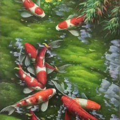 Vẽ Tranh Quần Ngư Hội Tụ R