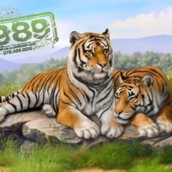 Vẽ Tranh Tường Tuổi Dần E