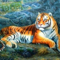 Vẽ Tranh Tường Tuổi Dần Q