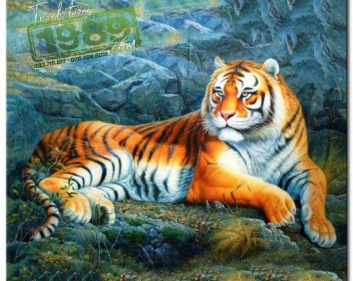 Vẽ Tranh Tường Tuổi Dần Q