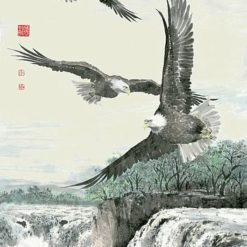 Vẽ Tranh đại Bàng Tung Cánh A