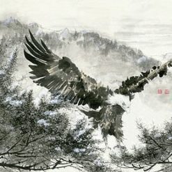 Vẽ Tranh đại Bàng Tung Cánh Q