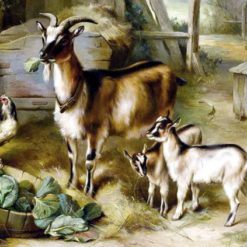 Tranh Hợp Phong Thủy Tuổi Mùi Q
