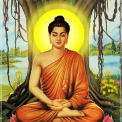 Tranh Phật A Di đà Tranh Hợp Phong Thủy Tuổi Mùi A